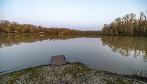 Renarde, Carp Fishing France, lake photo 20