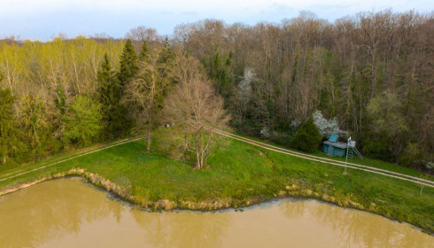Renarde, Carp Fishing France, lake photo 28
