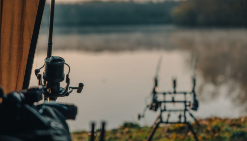 Renarde, Carp Fishing France, lake photo 2