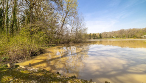 Renarde, Carp Fishing France, Swim 4