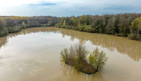 Renarde, Carp Fishing France, lake photo 31