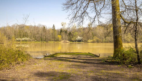 Renarde, Carp Fishing France, Swim 4