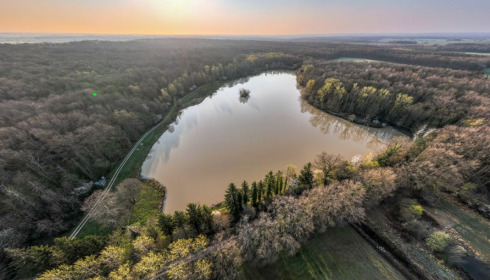Renarde, Carp Fishing France, lake photo 30
