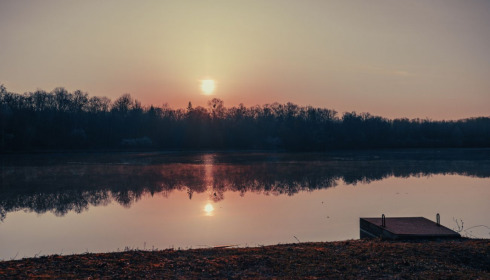 Renarde, Carp Fishing France, lake photo 4