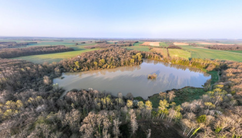 Renarde, Carp Fishing France, lake photo 6