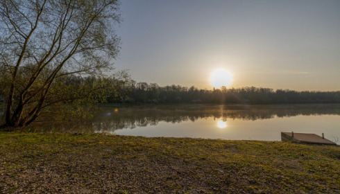 Renarde, Carp Fishing France, lake photo 13