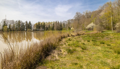 Renarde, Carp Fishing France, lake photo 10