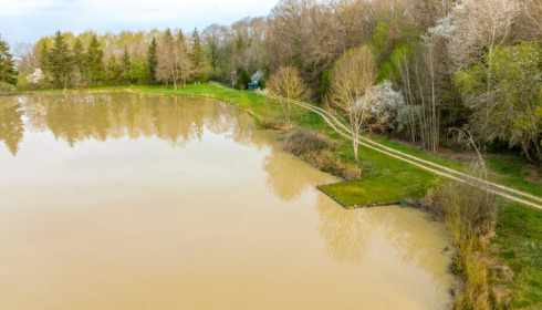 Renarde, Carp Fishing France, Swim 3