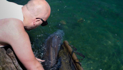 Sky Lake, Big Carp Fishing France, lake photo 27