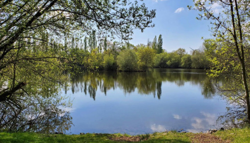 Villefond, Carp fishing in France, lake photo 3