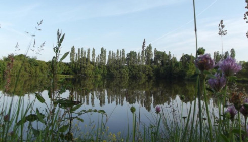 Villefond, Carp fishing in France, lake photo 5