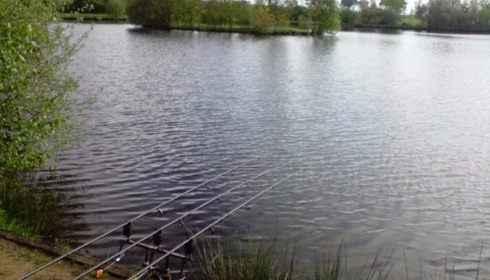 Villefond, Carp fishing in France, lake photo 11