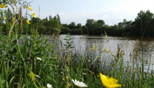 Villefond, Carp fishing in France, lake photo 7