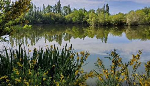 Villefond, Carp fishing in France, lake photo 24