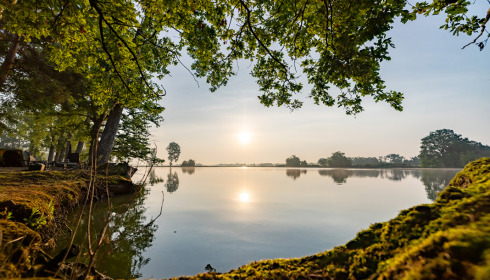 Vincons, Carp fishing in France with accommodation, lake photo 11