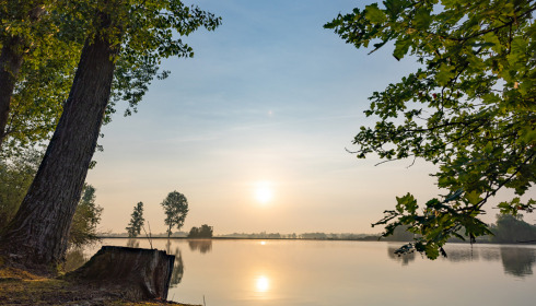 Vincons, Carp fishing in France with accommodation, lake photo 3