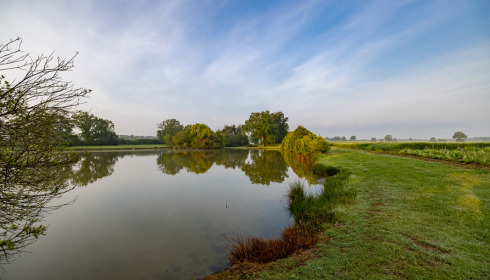 Vincons, Carp fishing in France with accommodation, lake photo 12