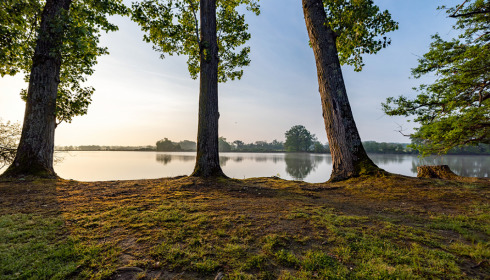 Vincons, Carp fishing in France with accommodation, lake photo 17