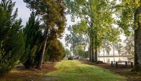 Vincons, Carp fishing in France with accommodation, lake photo 13
