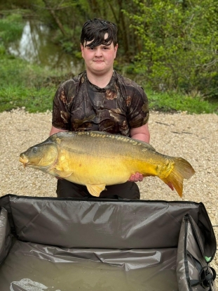 Image 4