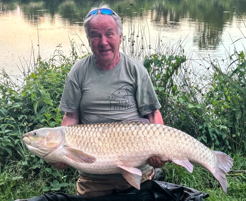 Image 4