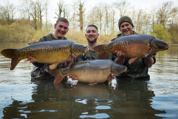 Anglers also viewed venue Brocard Small