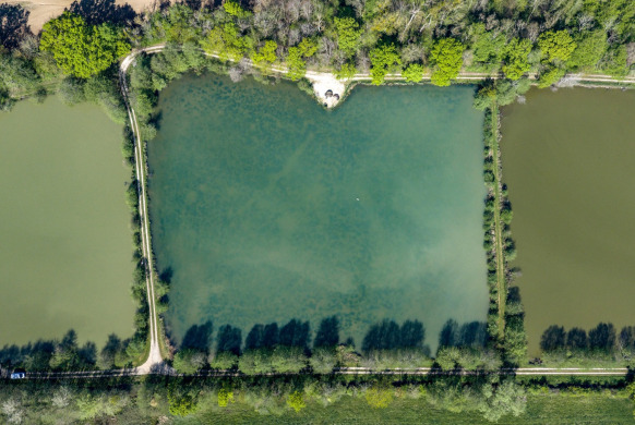 Anglers also viewed venue Jonchery 8