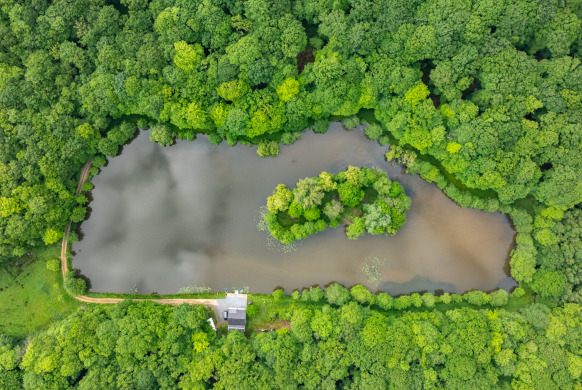 Carp House carp fishing lake in France – photo 5