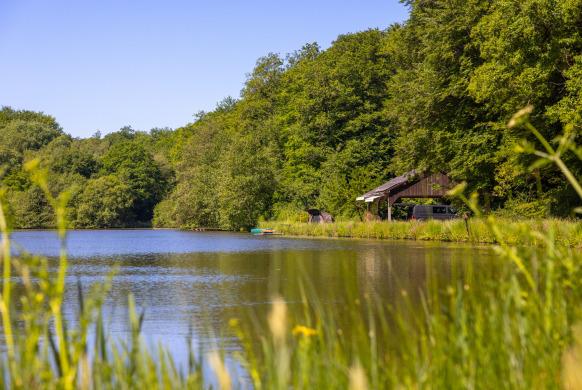 Anglers also viewed venue Carp House