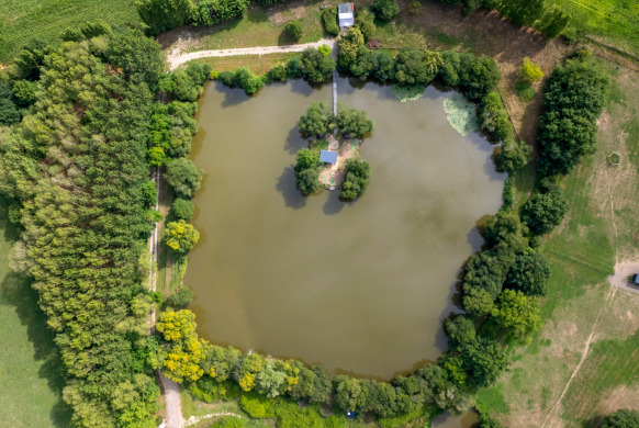 Lillypool carp fishing lake in France – photo 5