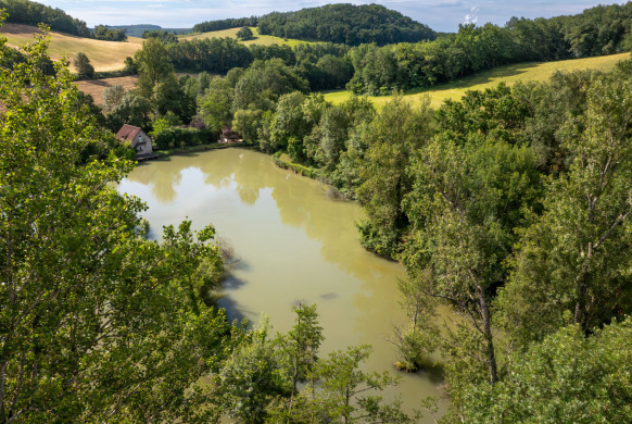Mas Bas Lotus Lake carp fishing lake in France – photo 6