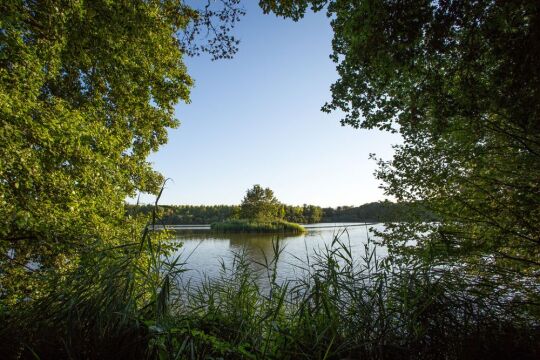 Brocard Large - Natural Carp Lake in France - photo 8