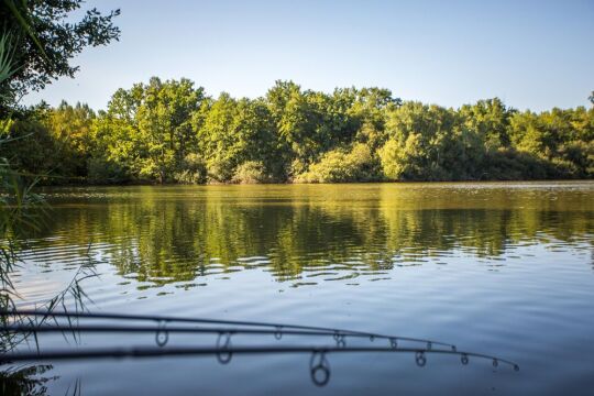 Brocard Large - Natural Carp Lake in France - photo 20