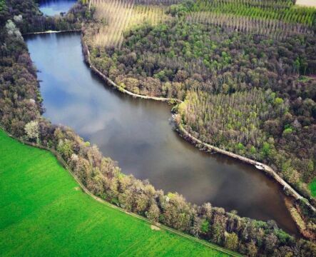 Brocard Small - French Carp and Catfish Fishing - photo 11
