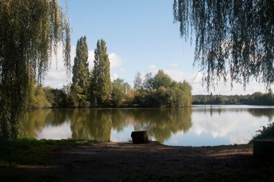 Laroussi - Carp fishing in France - photo 19