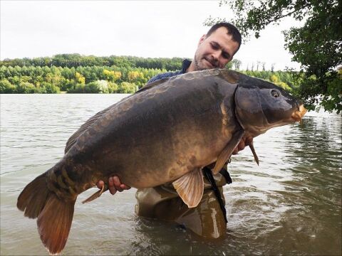 Lepinet North - Carp fishing in France - photo 12