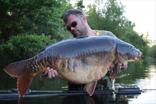 Old Oaks - Carp France - photo 8