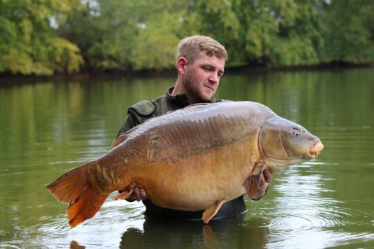 Old Oaks - Carp France - photo 10