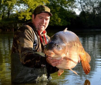 Old Oaks - Carp France - photo 2
