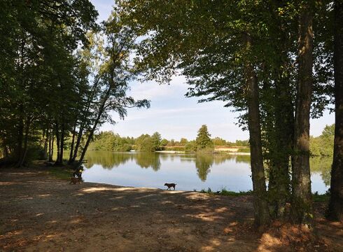 Autels - Carp and Catfish Fishing in France - photo 5