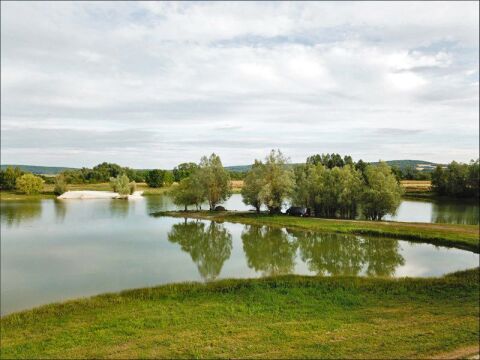 Beaurepaire - Carp lakes near Calais - photo 4