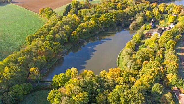 Cailleaux - Easy Carp Lake in France - photo 8