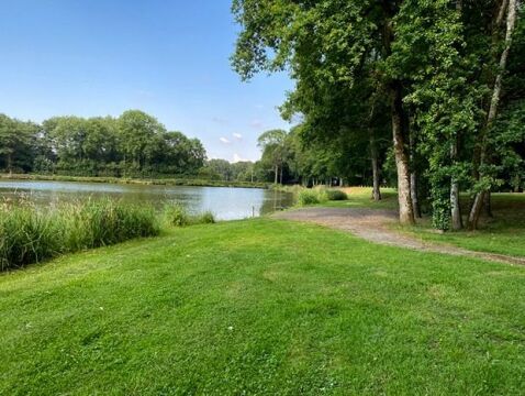 Cailleaux - Easy Carp Lake in France - photo 1