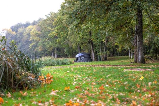 Cailleaux - Easy Carp Lake in France - photo 5
