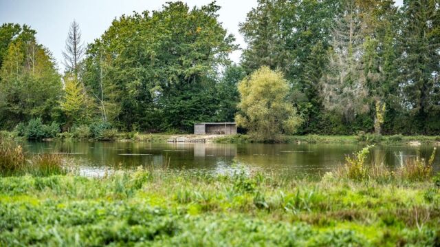 Renarde - Carp Fishing France - photo 6
