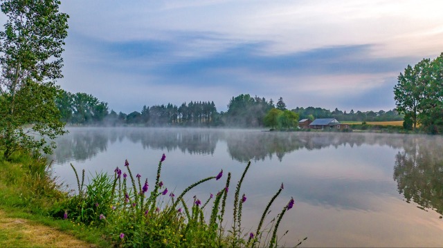 Mystique - Carp Fishing France with Accommodation - photo 9