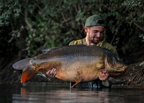 Emeraude - Big Carp in France - photo 3