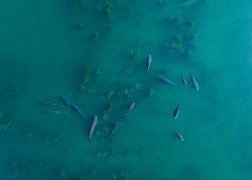 Souvenirs - Carp Fishing Close to Calais - photo 5