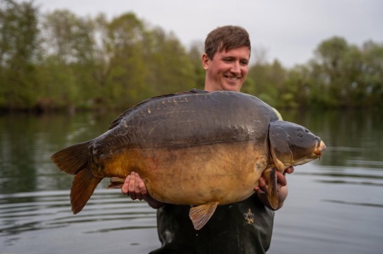 Souvenirs - Carp Fishing Close to Calais - photo 12