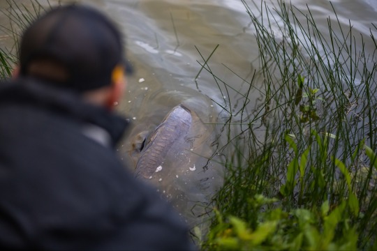Carrouge - Social Carp Fishing Holidays - photo 16